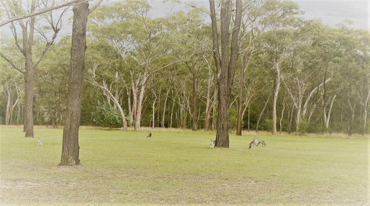 Unlax @ Hunter Valley Pokolbin Bagian luar foto